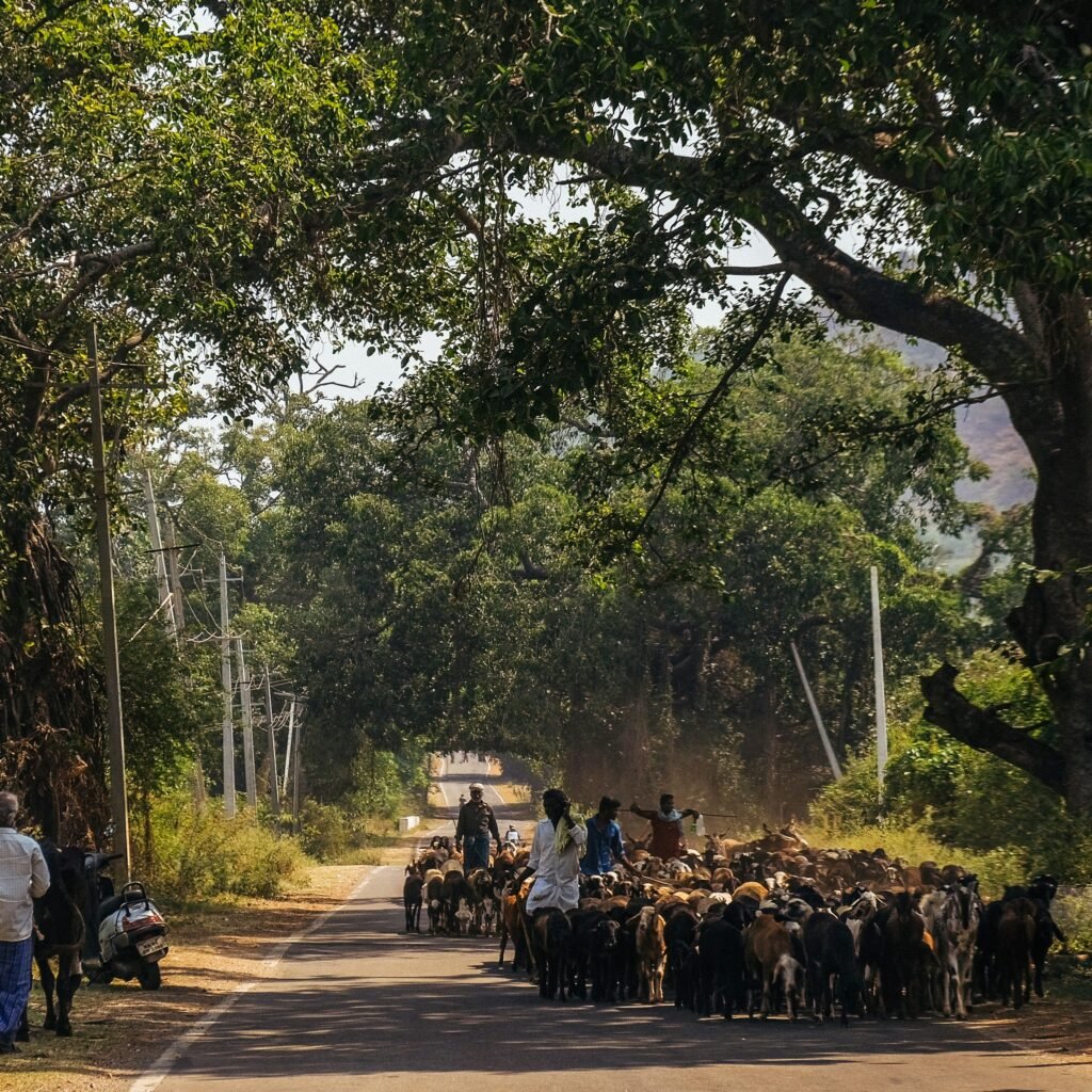 ಖಾಸಗಿ ಆಸ್ಪತ್ರೆ ಮೇಲೆ ಕೇಂದ್ರ ತಂಡ ದಿಡೀರ್ ದಾಳಿ. – Copy – Copy – Copy – Copy – Copy
